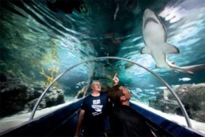 Экскурсия в Подводный мир